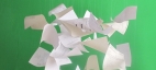MARSHALLS  frozen papers
